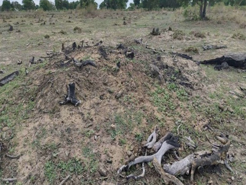 Área queimada no Pantanal após incêndio ilegal em fazenda de Aquidauana