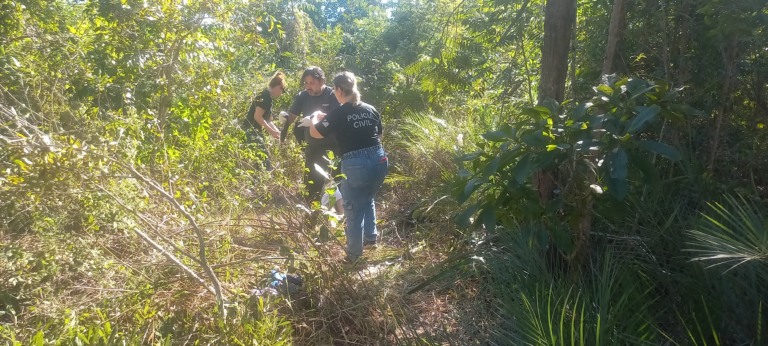 Corpo é encontrado parcialmente enterrado em área de mata