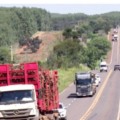 Vereadores cobram duplicação da BR-262 entre Três Lagoas e Ribas do Rio Pardo