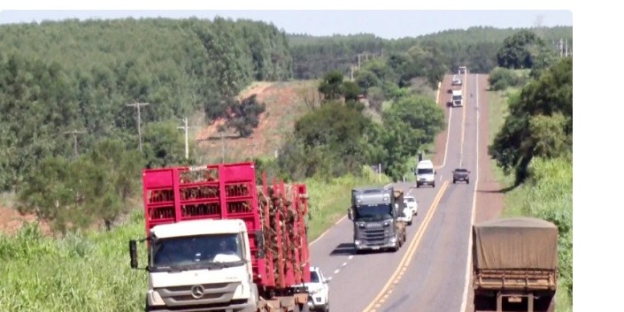 Vereadores cobram duplicação da BR-262 entre Três Lagoas e Ribas do Rio Pardo
