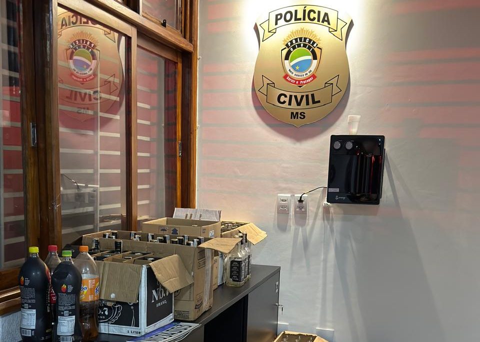 Polícia apreendeu grande quantidade de produtos. Foto: Reprodução/Polícia Civil MS