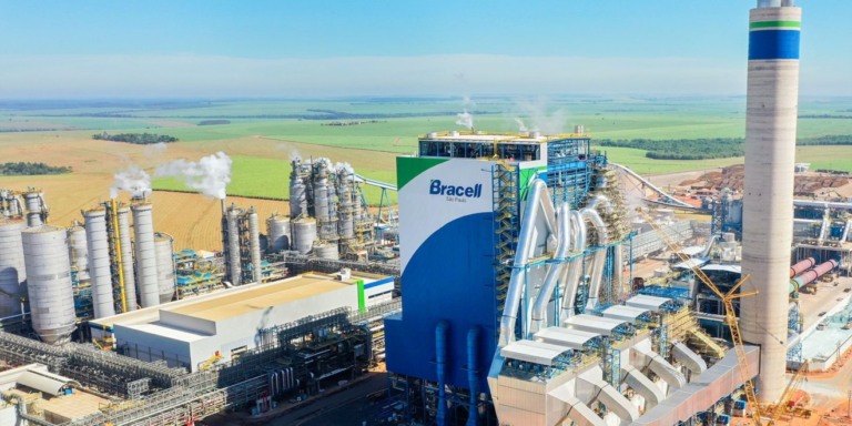 Bracell tem áreas de florestas plantadas e agora terá uma indústria de celulose em MS - Foto: Arquivo/RCN67