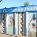 Ações gratuitas orientam estudantes e professores na produção de textos científicos, cartas motivacionais e exames de proficiência em seis idiomas - Foto: Reprodução/UFMS