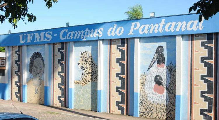 Ações gratuitas orientam estudantes e professores na produção de textos científicos, cartas motivacionais e exames de proficiência em seis idiomas - Foto: Reprodução/UFMS