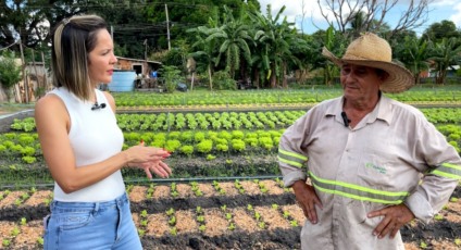 A Casa é Sua: vendedor de hortaliças fala sobre processos da plantação até a colheita A Casa é Sua: vendedor de hortaliças fala sobre processos da plantação até a colheita