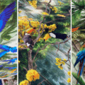 Artes que ilustram as estampas do Pantanal de MS são autorais da marca - Fotos: Gerson Wassouf/RCN67