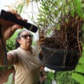 Quase 5 mil casos de Dengue já foram confirmados em Mato Grosso do Sul - Foto: Divulgação/Governo de MS