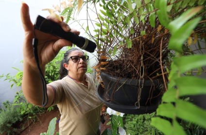 Quase 5 mil casos de Dengue já foram confirmados em Mato Grosso do Sul - Foto: Divulgação/Governo de MS
