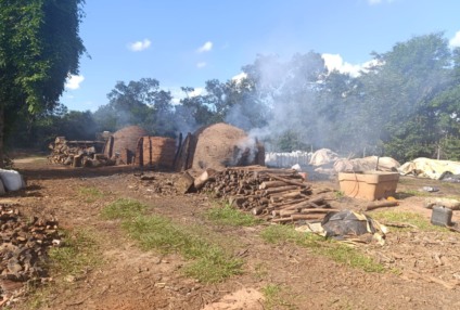Fiscalização da Polícia Militar Ambiental flagrou irregularidades no Assentamento Três Corações, em Anhanduí - Foto: Divulgação/PMA