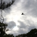 A Capital atinge os 30°C, com céu nublado em todos os períodos do dia - Foto: Arquivo RCN67