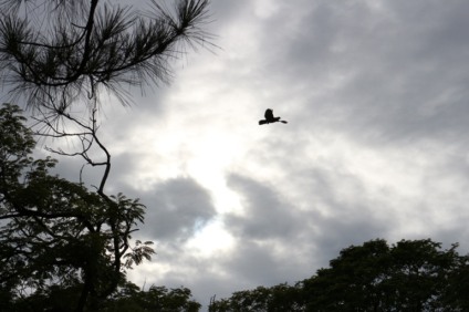 A Capital atinge os 30°C, com céu nublado em todos os períodos do dia - Foto: Arquivo RCN67