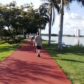 Vereador propõe instalação de banheiros químicos e bebedouros na Lagoa Maior