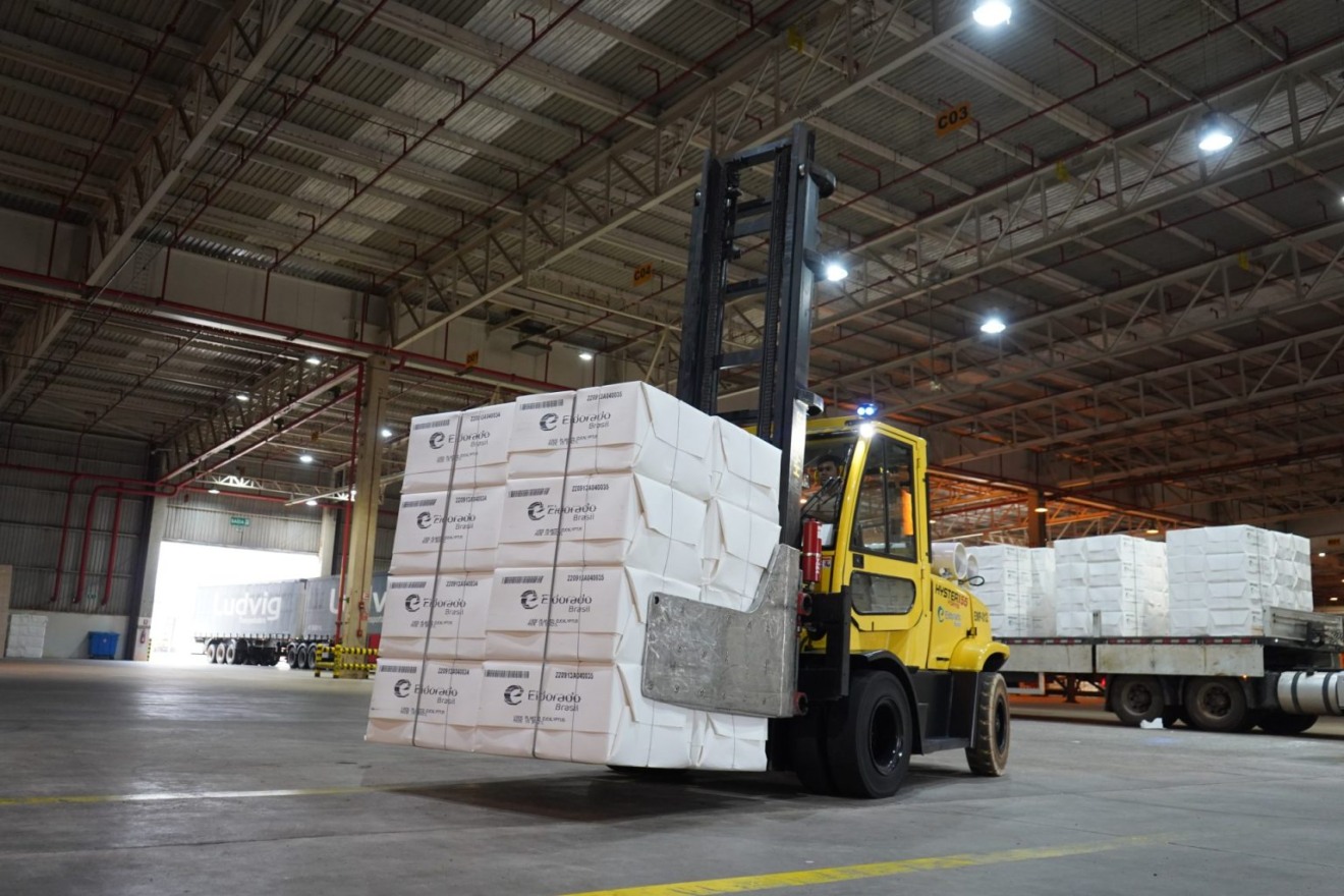 Celulose segue como o carro chefe nas exportações em Mato Grosso do Sul - Divulgação / Assessoria