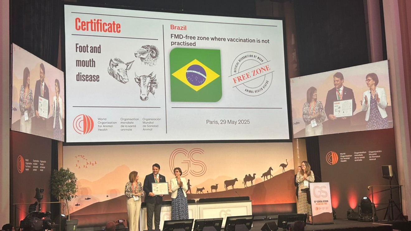 Cerimônia de certificação da OMSA em Paris