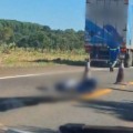 Homem morre atropelado na BR-262