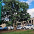 Fachada da secretaria - Foto: Reprodução/SES
