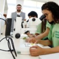- Foto: Reprodução/ Sistema Famasul
