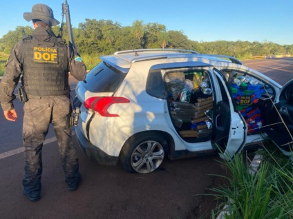 Apreensão aconteceu na MS-460, rota frequentemente usada por traficantes na região de fronteira - Foto: Divulgação/DOF