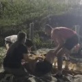 Apesar de estar com segurança reforçada suspeito conseguiu entrar com canivete e ferir desafetos durante briga: Divulgação/Redes Sociais