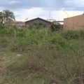 Em Três Lagoas, 1.200 terrenos baldios são autuados por falta de limpeza