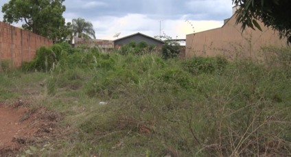 Em Três Lagoas, 1.200 terrenos baldios são autuados por falta de limpeza
