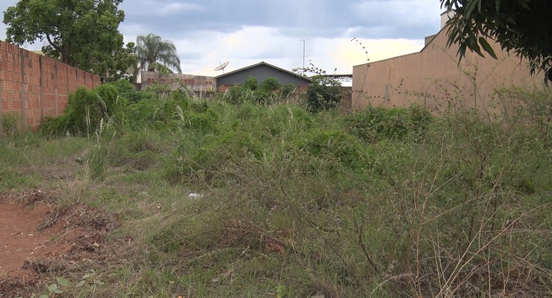 O crescimento desordenado do mato e o abandono de terrenos baldios têm gerado transtornos em diversos bairros de Três Lagoas. Foto: Reprodução/TVC HD
