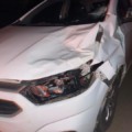 Uma pessoa foi no local se comprometendo arcar com prejuízo caso de fato o animal fosse de sua propriedade: Divulgação