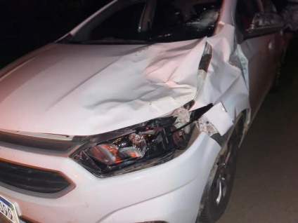 Uma pessoa foi no local se comprometendo arcar com prejuízo caso de fato o animal fosse de sua propriedade: Divulgação
