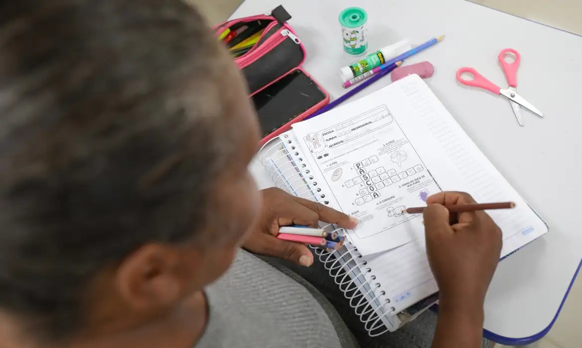 Este ano, pela primeira vez, o Inaf traz dados sobre o alfabetismo no contexto digital para compreender como as transformações tecnológicas interferem no cotidiano. Foto: Reprodução/Agência Brasil