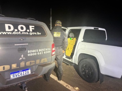 Carga de 812 quilos de droga estava avaliada em quase R$ 2 milhões - Foto: Divulgação/DOF