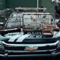 Os pássaros foram encontrados sob estresse - Foto: Reprodução Polícia Civil