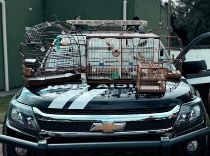 Os pássaros foram encontrados sob estresse - Foto: Reprodução Polícia Civil
