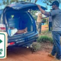Ação faz parte da Operação Caminhos Seguros - Foto: Reprodução/ PCMS
