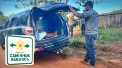 Ação faz parte da Operação Caminhos Seguros - Foto: Reprodução/ PCMS