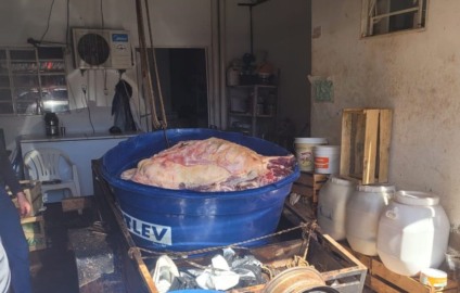 Carne era abatida de forma clandestina e transportada sem higiene - Foto: Divulgação/Polícia Civil de MS