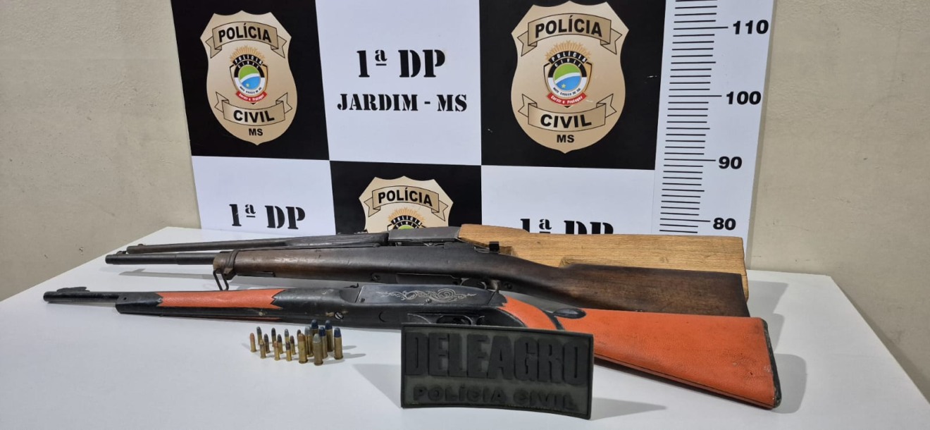 Foram apreendidas carabina calibre .22 - Foto: Reprodução/ PCMS