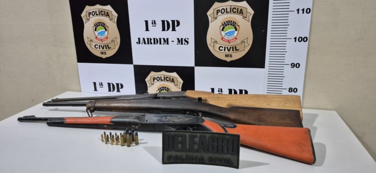 Foram apreendidas carabina calibre .22 - Foto: Reprodução/ PCMS