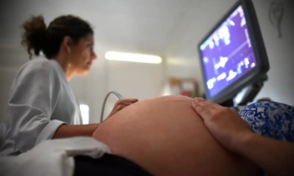 Nova lei garante acolhimento no SUS em perda gestacional