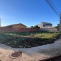 Em Três Lagoas, 65 multas são canceladas após limpeza de terrenos