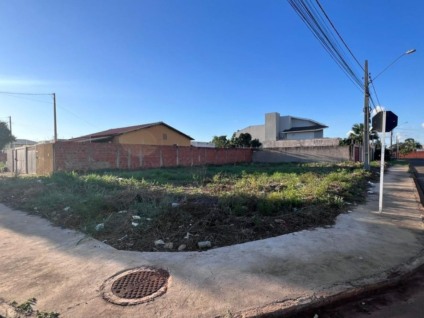 Em Três Lagoas, 65 multas são canceladas após limpeza de terrenos