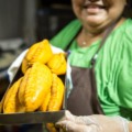 Festival América do Sul transforma a gastronomia fronteiriça em retrato vivo da cultura sul-mato-grossense