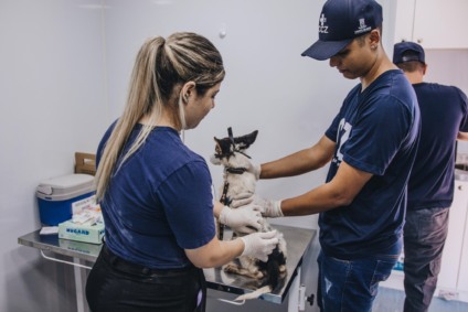 Para realizar os exames, é necessário apresentar documentos pessoais - Foto: Reprodução/ Subea