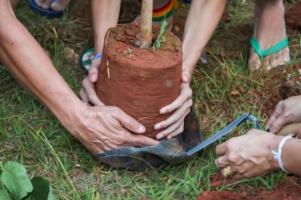 Semana do Meio Ambiente terá passeio ciclístico, palestras e ações em escolas