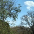O tempo seco acompanha a elevação de temperatura no estado nesta quinta-feira (8) - Foto: Arquivo RCN67