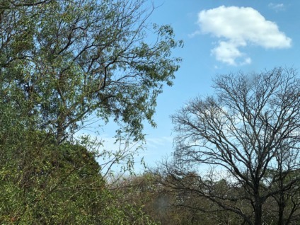 O tempo seco acompanha a elevação de temperatura no estado nesta quinta-feira (8) - Foto: Arquivo RCN67