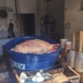 Ação conjunta apreende quase 2 toneladas de carnes impróprias