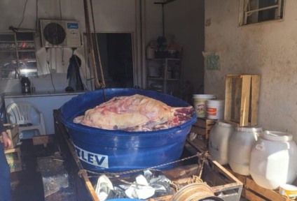 Ação conjunta apreende quase 2 toneladas de carnes impróprias