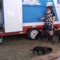 Castramóvel se instala na Clínica da Criança com atendimentos gratuitos para cães e gatos