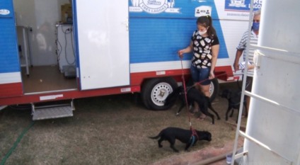 Castramóvel se instala na Clínica da Criança com atendimentos gratuitos para cães e gatos