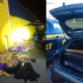 O motorista da ocorrência de Bataguassu fugiu - Foto: PRF